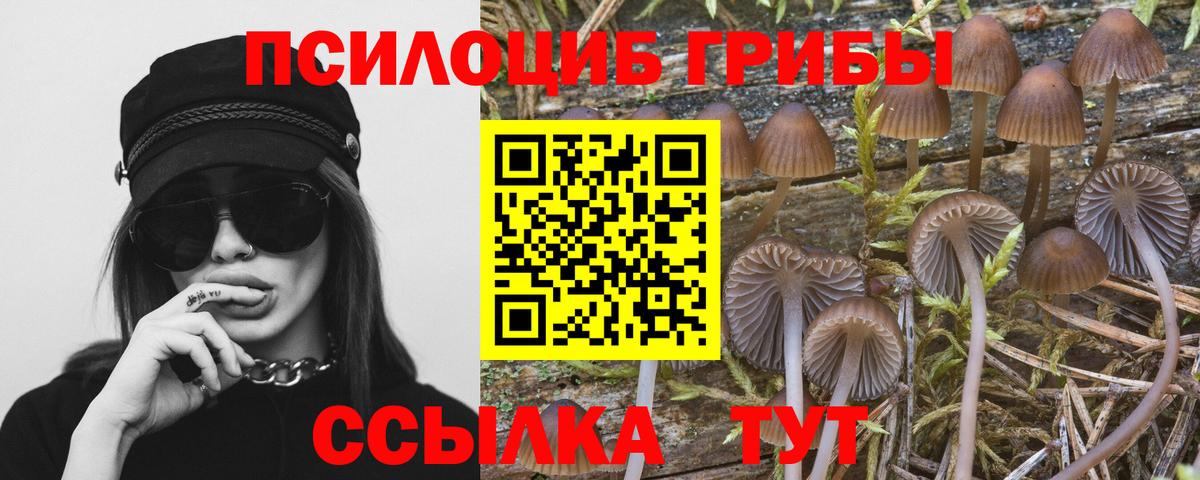 Метамфетамин  Марихуана  АМФ кристаллы  Меф МЯУ МЯУ   Михайловск  Кетамин  Вход с VPN  Наркошоп  Марихуана  Гашиш 