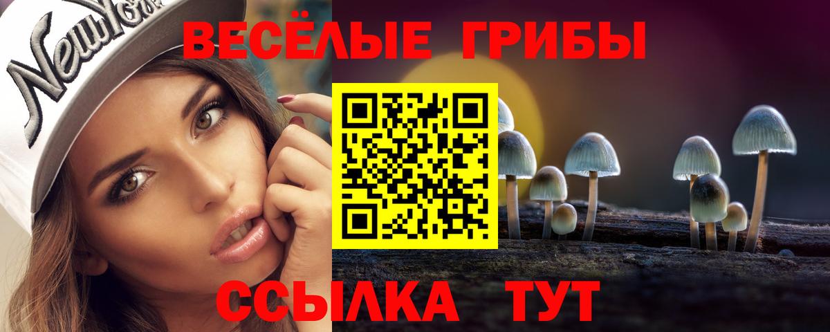 Галлюциногенные грибы мицелий Михайловск