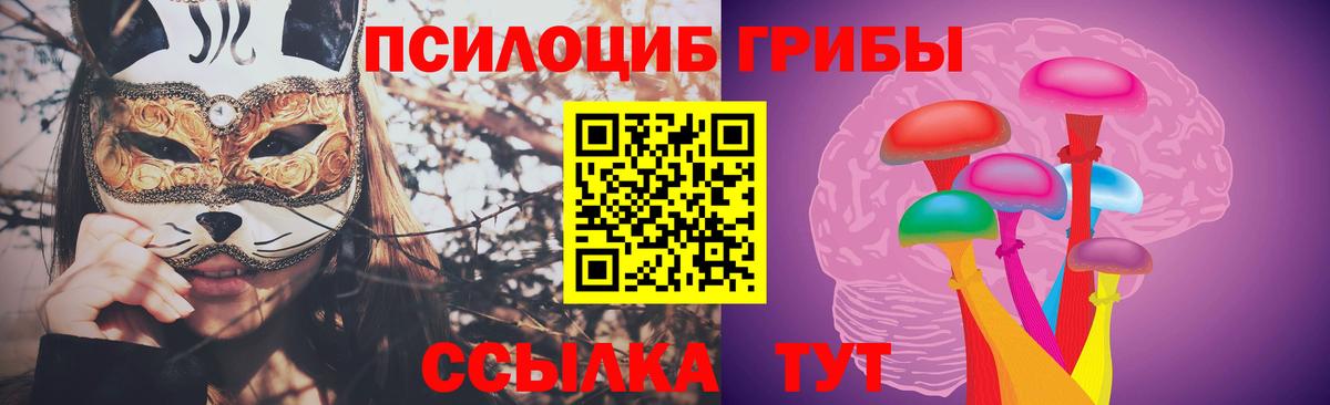Михайловск  Псилоцибиновые грибы ЛСД  Вход с VPN 